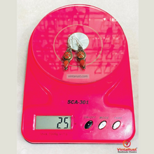 Load image into Gallery viewer, Handmade Nepalese Coral Earrings